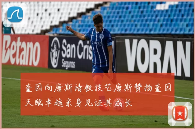 奎因向唐斯请教技艺唐斯赞扬奎因天赋卓越亲身见证其成长