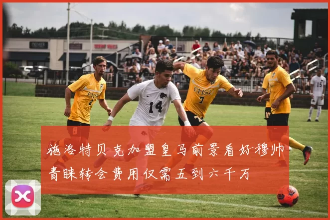 施洛特贝克加盟皇马前景看好穆帅青睐转会费用仅需五到六千万
